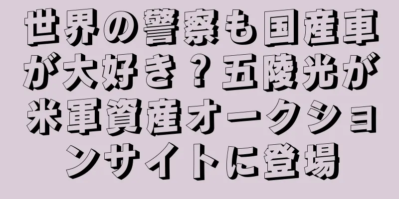 世界の警察も国産車が大好き？五陵光が米軍資産オークションサイトに登場