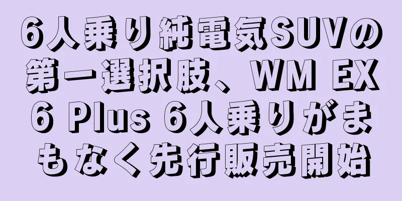 6人乗り純電気SUVの第一選択肢、WM EX6 Plus 6人乗りがまもなく先行販売開始