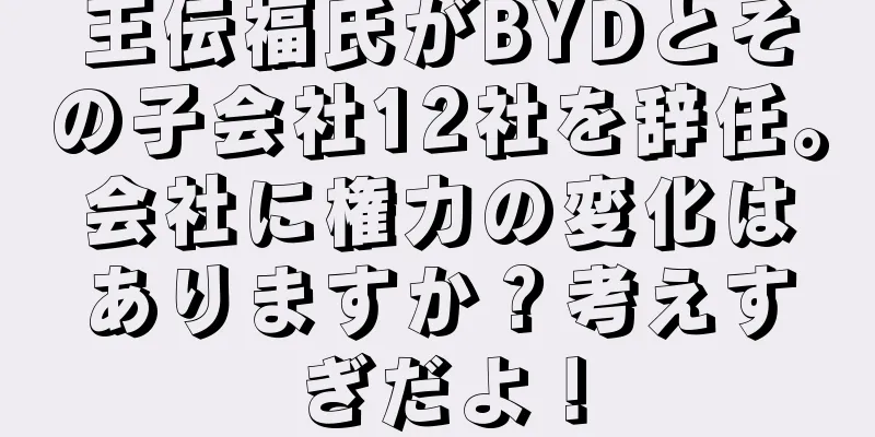 王伝福氏がBYDとその子会社12社を辞任。会社に権力の変化はありますか？考えすぎだよ！