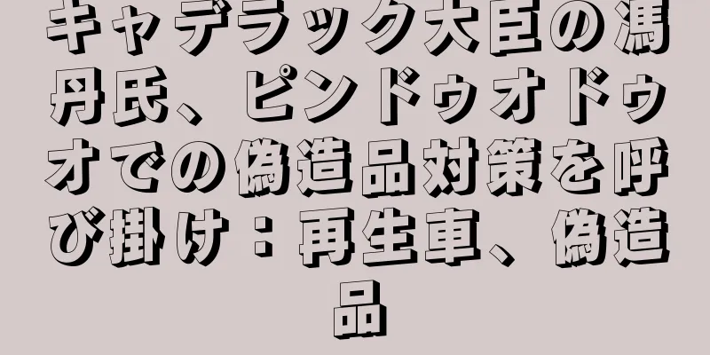 キャデラック大臣の馮丹氏、ピンドゥオドゥオでの偽造品対策を呼び掛け：再生車、偽造品