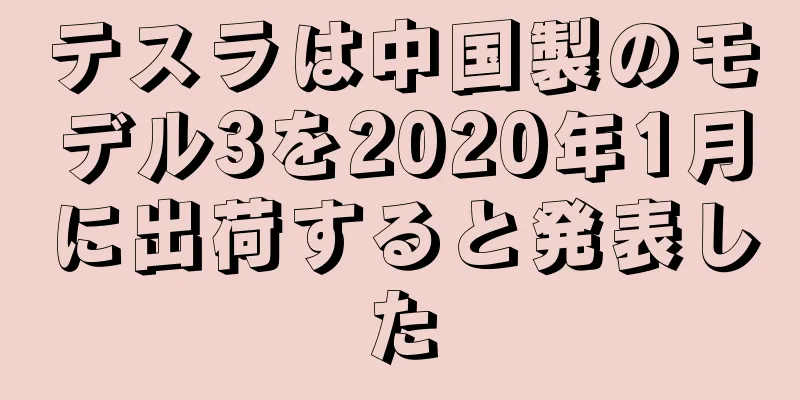 テスラは中国製のモデル3を2020年1月に出荷すると発表した