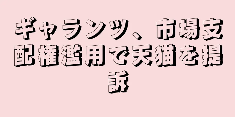 ギャランツ、市場支配権濫用で天猫を提訴