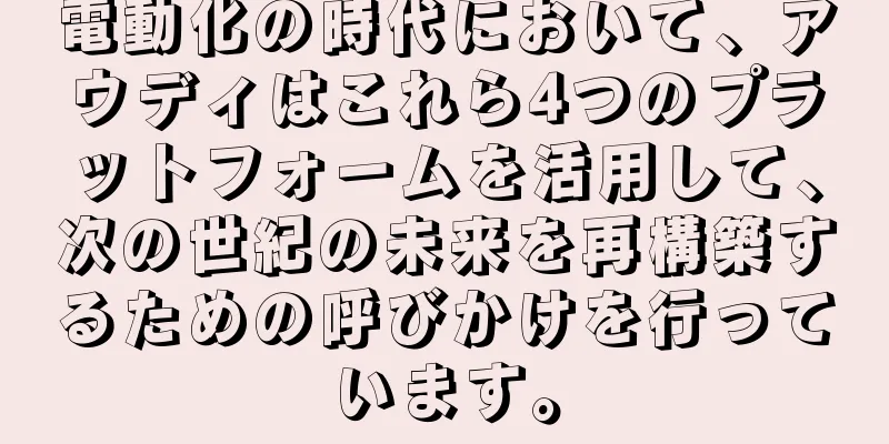電動化の時代において、アウディはこれら4つのプラットフォームを活用して、次の世紀の未来を再構築するための呼びかけを行っています。