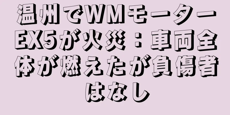 温州でWMモーターEX5が火災：車両全体が燃えたが負傷者はなし