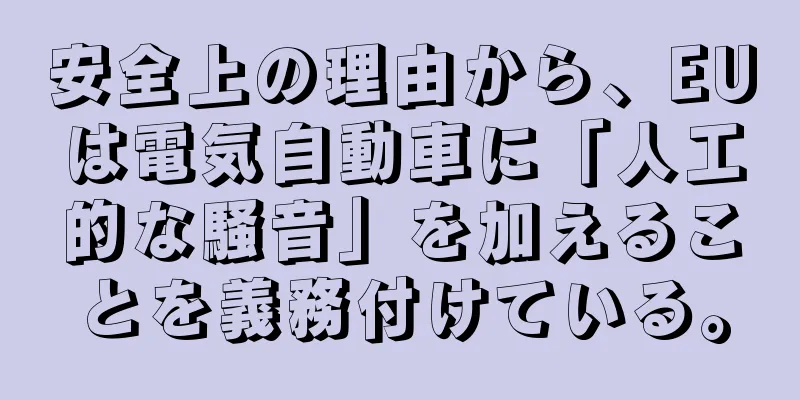 安全上の理由から、EUは電気自動車に「人工的な騒音」を加えることを義務付けている。