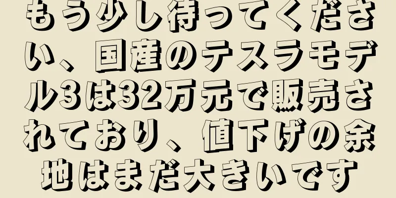 もう少し待ってください、国産のテスラモデル3は32万元で販売されており、値下げの余地はまだ大きいです