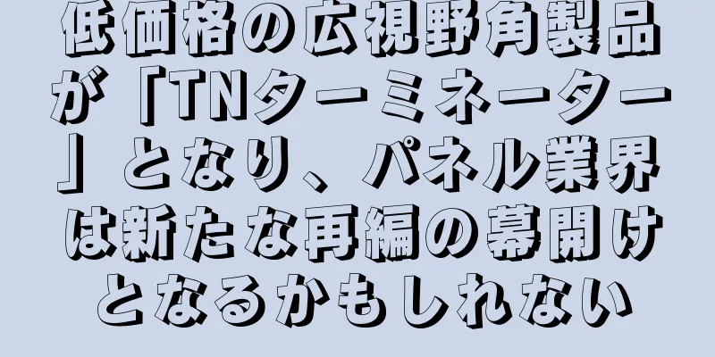 低価格の広視野角製品が「TNターミネーター」となり、パネル業界は新たな再編の幕開けとなるかもしれない