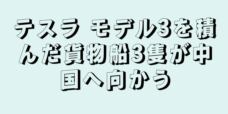 テスラ モデル3を積んだ貨物船3隻が中国へ向かう