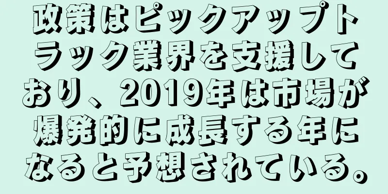 政策はピックアップトラック業界を支援しており、2019年は市場が爆発的に成長する年になると予想されている。