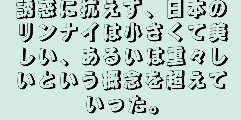 誘惑に抗えず、日本のリンナイは小さくて美しい、あるいは重々しいという概念を超えていった。