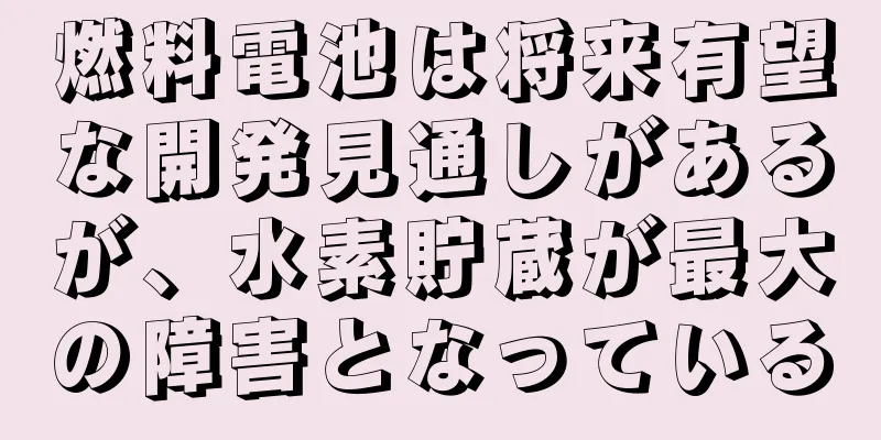 燃料電池は将来有望な開発見通しがあるが、水素貯蔵が最大の障害となっている