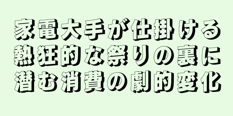 家電大手が仕掛ける熱狂的な祭りの裏に潜む消費の劇的変化