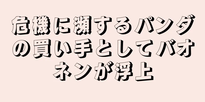 危機に瀕するパンダの買い手としてバオネンが浮上