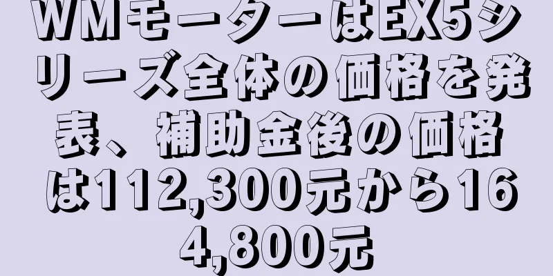 WMモーターはEX5シリーズ全体の価格を発表、補助金後の価格は112,300元から164,800元