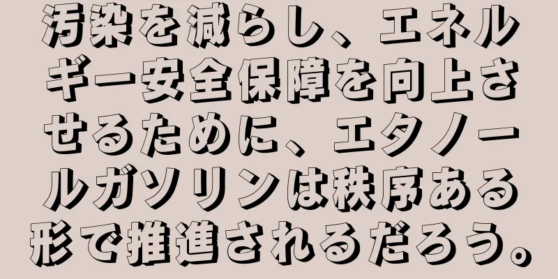 汚染を減らし、エネルギー安全保障を向上させるために、エタノールガソリンは秩序ある形で推進されるだろう。