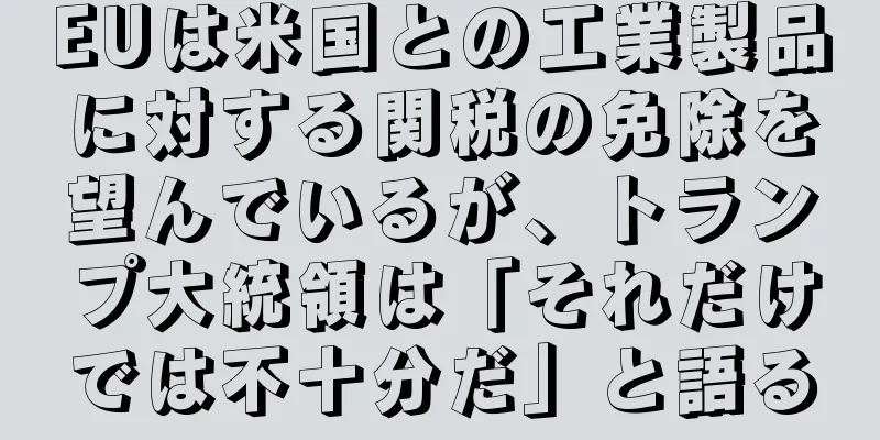 EUは米国との工業製品に対する関税の免除を望んでいるが、トランプ大統領は「それだけでは不十分だ」と語る