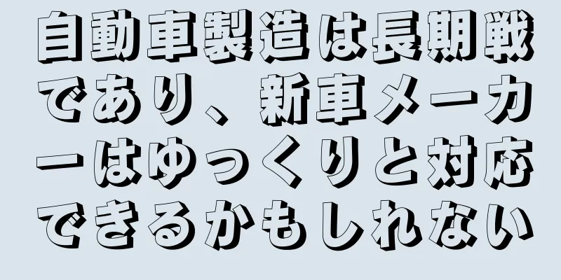 自動車製造は長期戦であり、新車メーカーはゆっくりと対応できるかもしれない