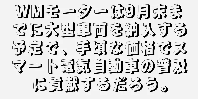 WMモーターは9月末までに大型車両を納入する予定で、手頃な価格でスマート電気自動車の普及に貢献するだろう。