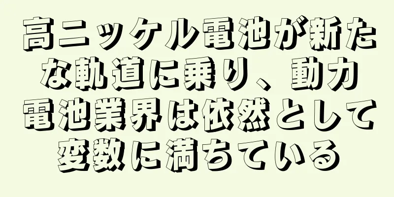 高ニッケル電池が新たな軌道に乗り、動力電池業界は依然として変数に満ちている