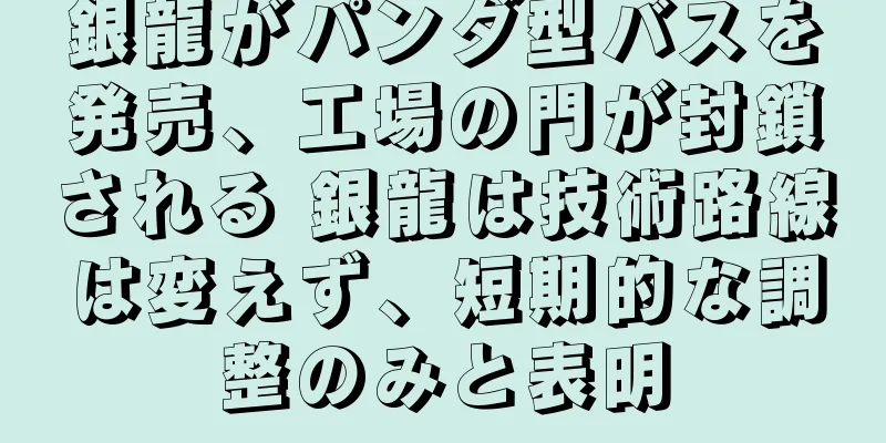 銀龍がパンダ型バスを発売、工場の門が封鎖される 銀龍は技術路線は変えず、短期的な調整のみと表明