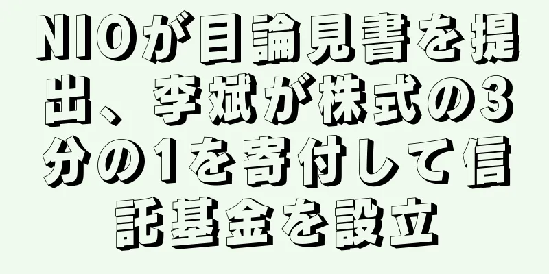 NIOが目論見書を提出、李斌が株式の3分の1を寄付して信託基金を設立