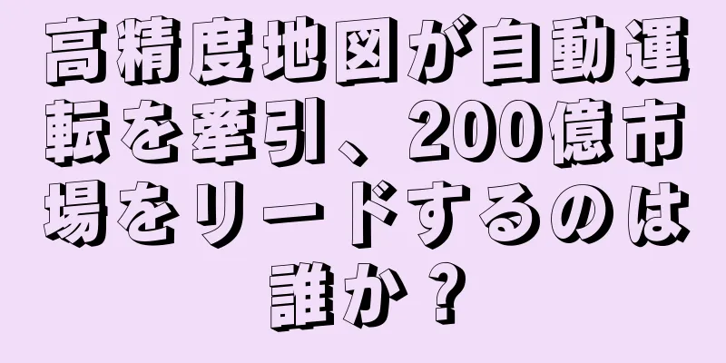 高精度地図が自動運転を牽引、200億市場をリードするのは誰か？