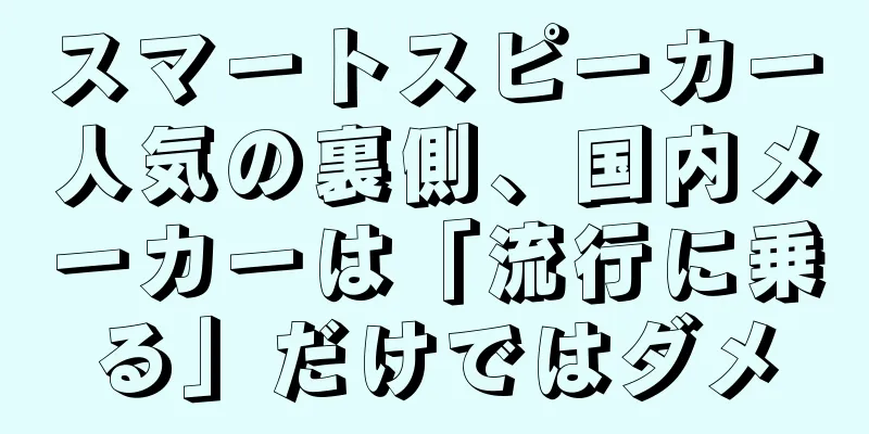 スマートスピーカー人気の裏側、国内メーカーは「流行に乗る」だけではダメ