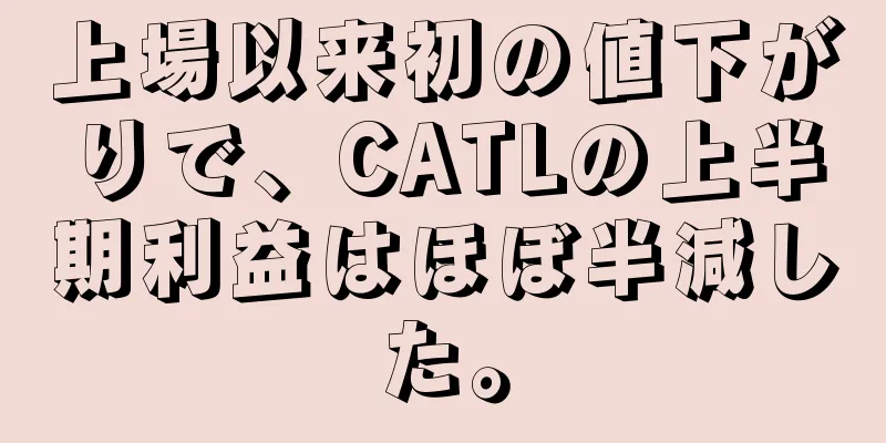 上場以来初の値下がりで、CATLの上半期利益はほぼ半減した。
