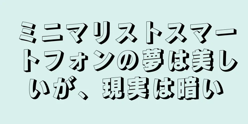 ミニマリストスマートフォンの夢は美しいが、現実は暗い