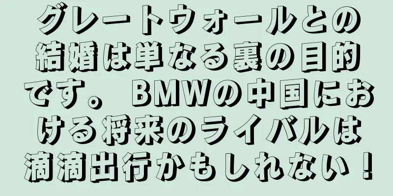 グレートウォールとの結婚は単なる裏の目的です。 BMWの中国における将来のライバルは滴滴出行かもしれない！