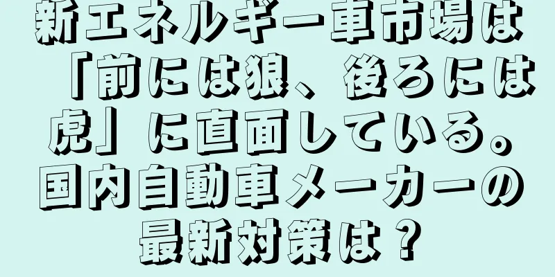 新エネルギー車市場は「前には狼、後ろには虎」に直面している。国内自動車メーカーの最新対策は？