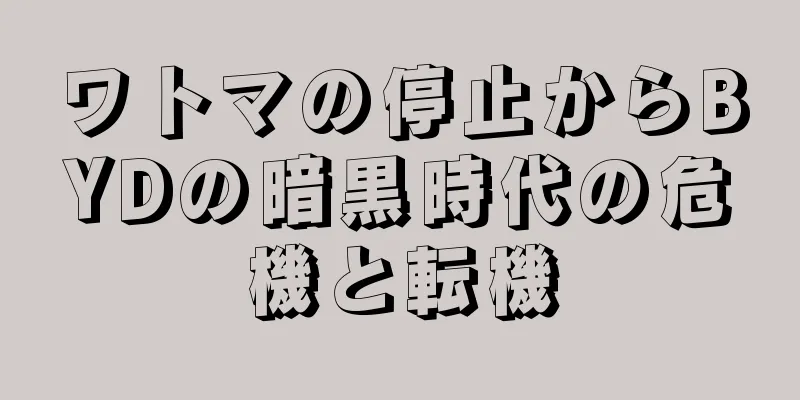 ワトマの停止からBYDの暗黒時代の危機と転機