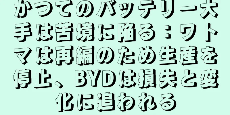 かつてのバッテリー大手は苦境に陥る：ワトマは再編のため生産を停止、BYDは損失と変化に追われる