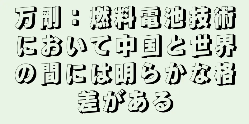 万剛：燃料電池技術において中国と世界の間には明らかな格差がある