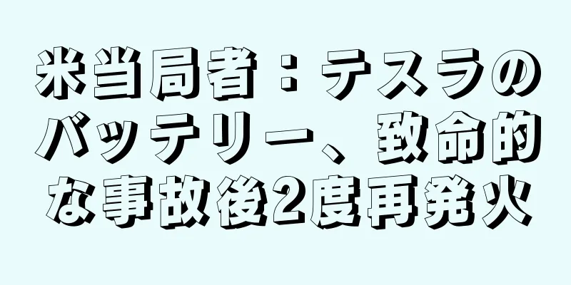 米当局者：テスラのバッテリー、致命的な事故後2度再発火