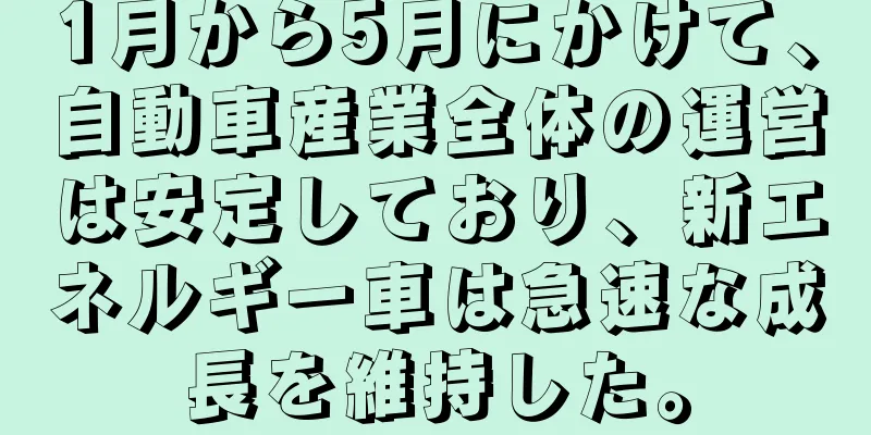 1月から5月にかけて、自動車産業全体の運営は安定しており、新エネルギー車は急速な成長を維持した。