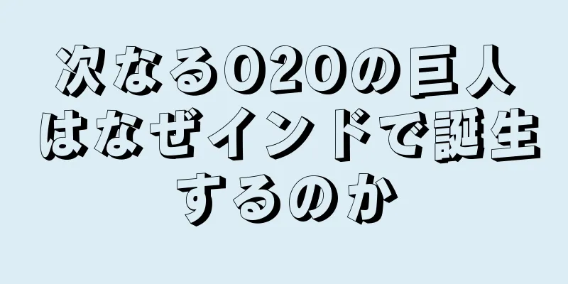 次なるO2Oの巨人はなぜインドで誕生するのか