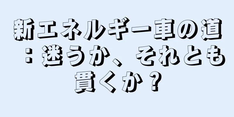 新エネルギー車の道：迷うか、それとも貫くか？