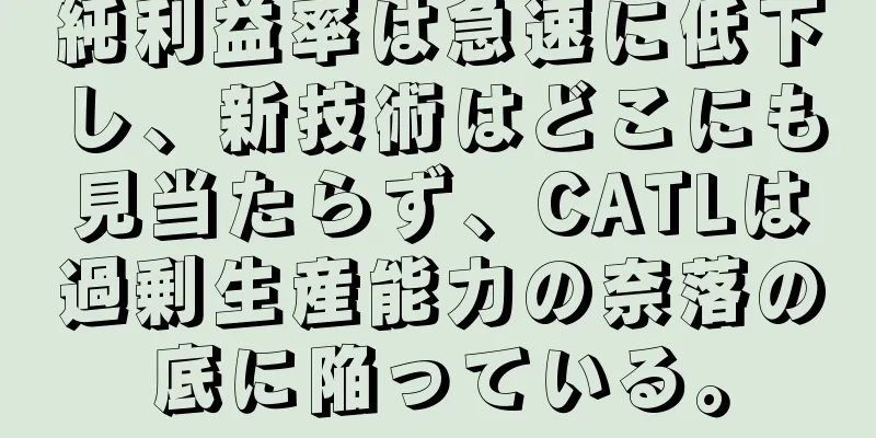 純利益率は急速に低下し、新技術はどこにも見当たらず、CATLは過剰生産能力の奈落の底に陥っている。