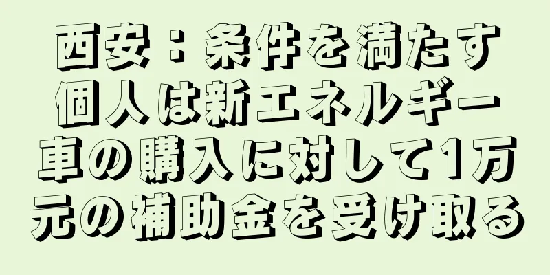 西安：条件を満たす個人は新エネルギー車の購入に対して1万元の補助金を受け取る