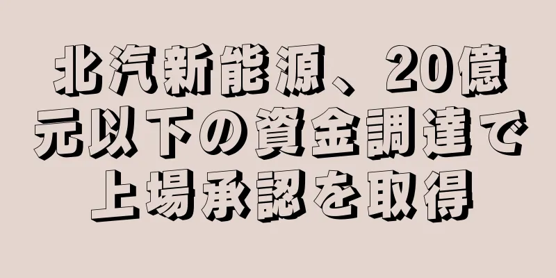 北汽新能源、20億元以下の資金調達で上場承認を取得