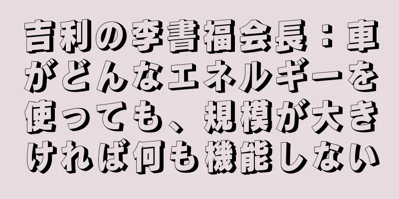 吉利の李書福会長：車がどんなエネルギーを使っても、規模が大きければ何も機能しない