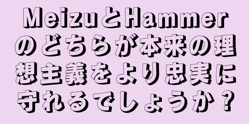 MeizuとHammerのどちらが本来の理想主義をより忠実に守れるでしょうか？