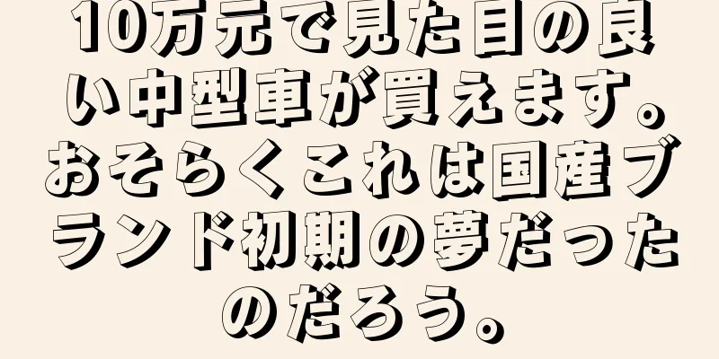 10万元で見た目の良い中型車が買えます。おそらくこれは国産ブランド初期の夢だったのだろう。
