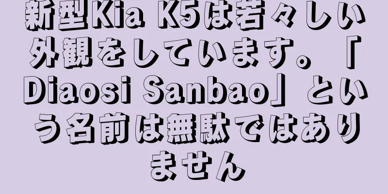 新型Kia K5は若々しい外観をしています。「Diaosi Sanbao」という名前は無駄ではありません