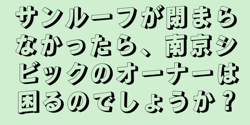 サンルーフが閉まらなかったら、南京シビックのオーナーは困るのでしょうか？
