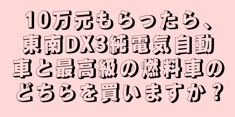10万元もらったら、東南DX3純電気自動車と最高級の燃料車のどちらを買いますか？