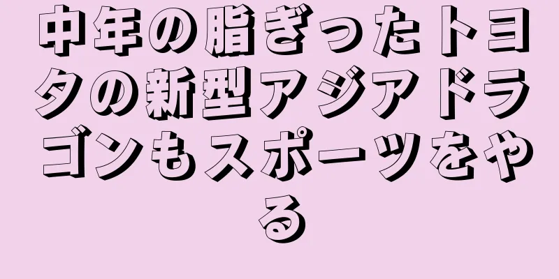 中年の脂ぎったトヨタの新型アジアドラゴンもスポーツをやる