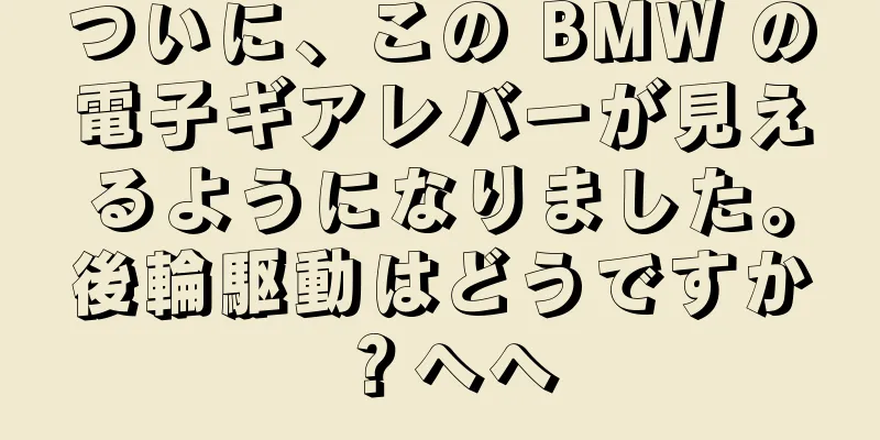 ついに、この BMW の電子ギアレバーが見えるようになりました。後輪駆動はどうですか？へへ