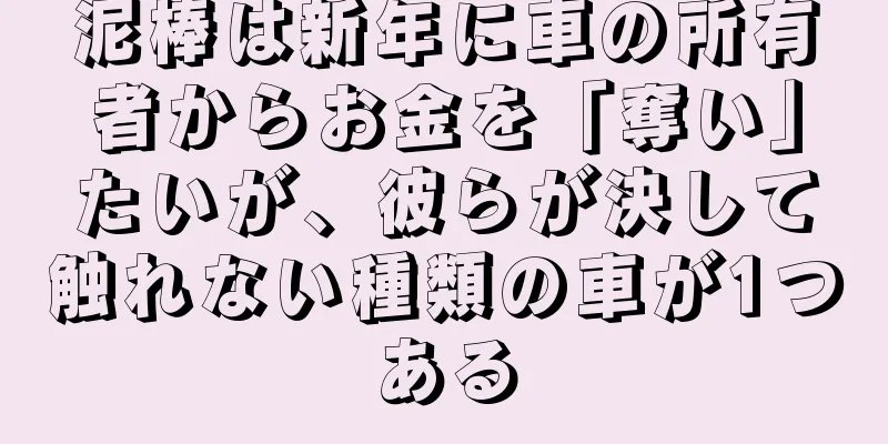 泥棒は新年に車の所有者からお金を「奪い」たいが、彼らが決して触れない種類の車が1つある